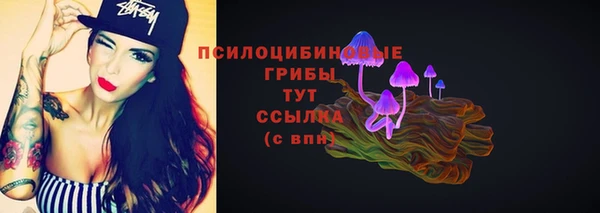 PSILOCYBIN Верея