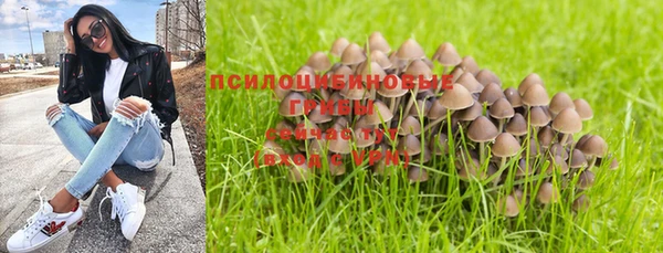 молекула духа Нязепетровск