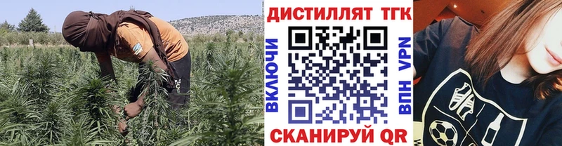 Дистиллят ТГК концентрат  Белово 