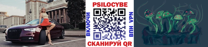 Псилоцибиновые грибы Psilocybe купить сайты Белово