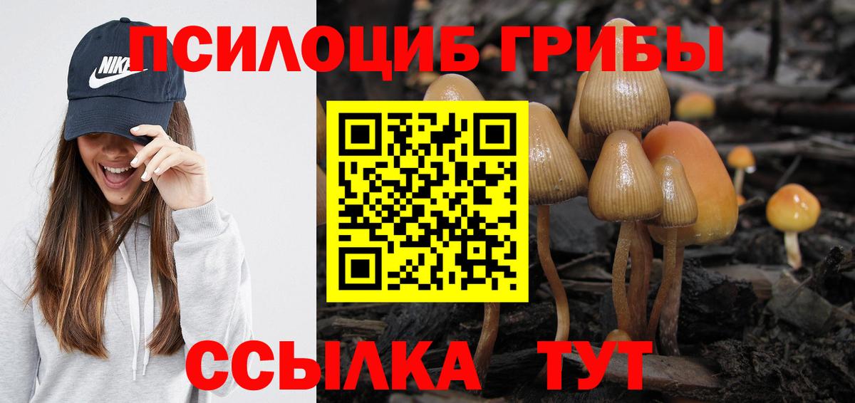 Псилоцибиновые грибы ЛСД Белово