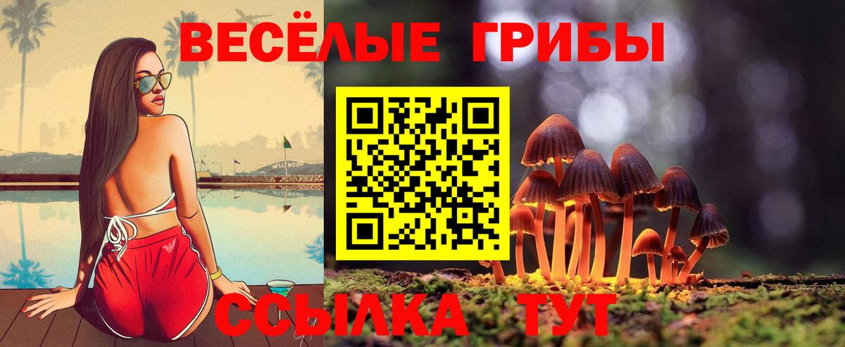 Белово  Псилоцибиновые грибы Psilocybe  Вход с VPN 