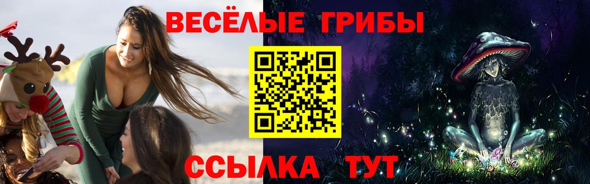Псилоцибиновые грибы мухоморы Белово